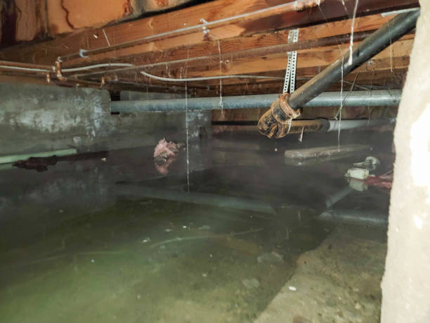 Best Residential water damage restoration  in Country Squire Lakes, IN