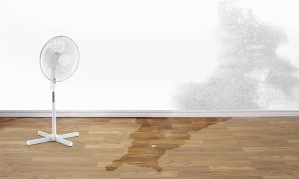 Best Water damage cleanup near me  in Country Squire Lakes, IN