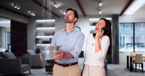 Best Professional water damage repair  in Country Squire Lakes, IN
